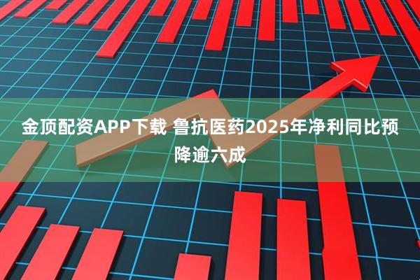 金顶配资APP下载 鲁抗医药2025年净利同比预降逾六成
