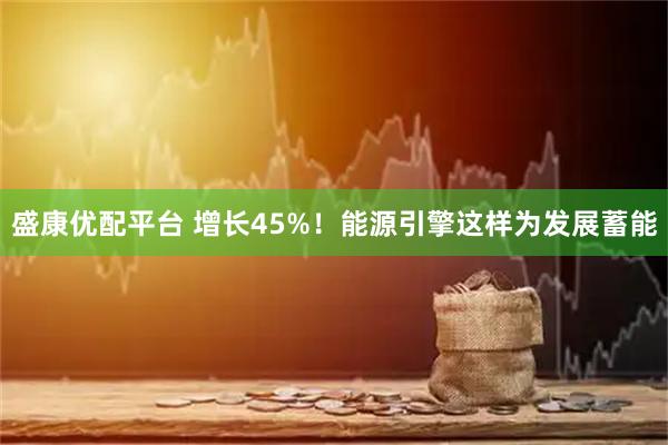 盛康优配平台 增长45%！能源引擎这样为发展蓄能