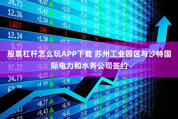 股票杠杆怎么玩APP下载 苏州工业园区与沙特国际电力和水务公司签约