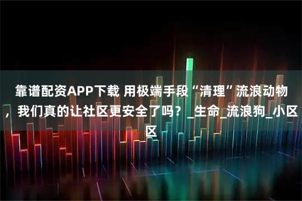 靠谱配资APP下载 用极端手段“清理”流浪动物，我们真的让社区更安全了吗？_生命_流浪狗_小区
