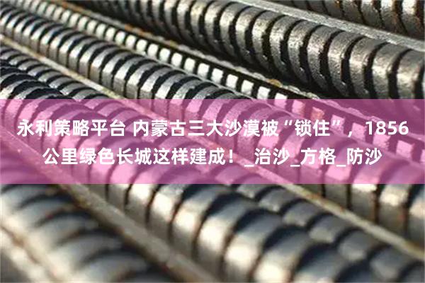 永利策略平台 内蒙古三大沙漠被“锁住”，1856公里绿色长城这样建成！_治沙_方格_防沙