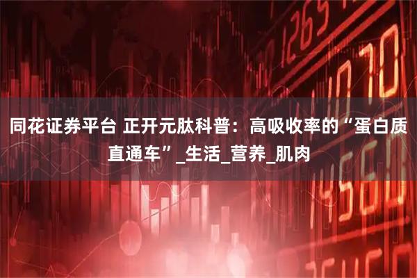同花证券平台 正开元肽科普：高吸收率的“蛋白质直通车”_生活_营养_肌肉
