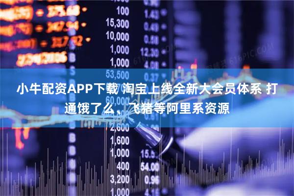 小牛配资APP下载 淘宝上线全新大会员体系 打通饿了么、飞猪等阿里系资源